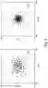 Fig. 03 - IMAGING ASSAYS