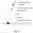 Fig. 04 - IMAGING ASSAYS