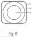 Fig. 06 - IMMUNOASSAY DETECTION DEVICE WITH TEST STRIP ACCOMMODATED IN A CAPILLARY TUBE