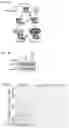 Fig. 02 - METHODS OF DETECTING PROGESTERONE RECEPTOR AND OF DETECTING AN EXPRESSION LEVEL