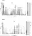 Fig. 09 - Method of determining toxicity of an immunomodulatory drug for use in humans