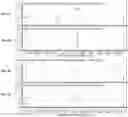 Fig. 06 - Mass spectrometric determination of tert-butyldimethylsilyl derivatized methylmalonic acid