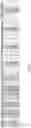 Fig. 04 - Intelligent agent to simulate financial transactions