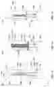 Fig. 04 - Isolation structures of semiconductor devices