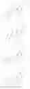 Fig. 232 - CYCLIC DINUCLEOTIDE