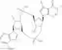 Fig. 445 - CYCLIC DINUCLEOTIDE