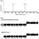 Fig. 08 - COMPOSITIONS AND METHODS FOR PROMOTING SKIN HEALTH