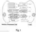 Fig. 02 - Amino acid sequences that modulate the interaction between cells of the immune system