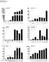 Fig. 03 - Production of brown adipocytes
