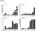 Fig. 06 - Production of brown adipocytes