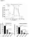 Fig. 09 - Production of brown adipocytes