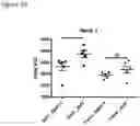 Fig. 11 - Production of brown adipocytes
