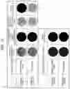 Fig. 07 - Freshness label with aggregation-induced phosphor