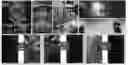 Fig. 01 - DETECTION OF GASES AND VAPORS BY PATTERNED NANOPARTICLE LIQUID CRYSTAL ALIGNMENT