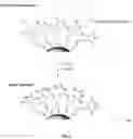 Fig. 07 - DETECTION OF GASES AND VAPORS BY PATTERNED NANOPARTICLE LIQUID CRYSTAL ALIGNMENT