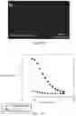 Fig. 35 - BIOCHIP HAVING MICROCHANNEL PROVIDED WITH CAPTURING AGENT FOR PERFORMING CYTOLOGICAL ANALYSIS