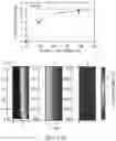 Fig. 45 - BIOCHIP HAVING MICROCHANNEL PROVIDED WITH CAPTURING AGENT FOR PERFORMING CYTOLOGICAL ANALYSIS