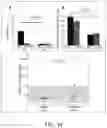 Fig. 63 - BIOCHIP HAVING MICROCHANNEL PROVIDED WITH CAPTURING AGENT FOR PERFORMING CYTOLOGICAL ANALYSIS