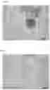 Fig. 02 - Fusions and method for detecting same