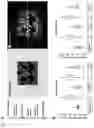 Fig. 02 - ITERATIVE FLUORESCENCE IMAGING
