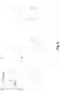 Fig. 09 - Homogeneous assay