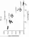Fig. 06 - Methods for guiding therapy decisions in seizure disorders