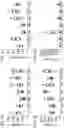 Fig. 02 - Method relating to myostatin pathway inhibition