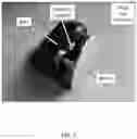 Fig. 02 - Voice coil actuator for angular movements
