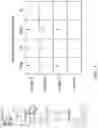 Fig. 04 - Computer vision image feature identification via multi-label few-shot model