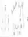 Fig. 05 - Computer vision image feature identification via multi-label few-shot model