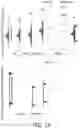 Fig. 10 - Apparatus and method for dynamic range transforming of images