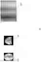 Fig. 08 - Systems and methods of generating datasets for training neural networks