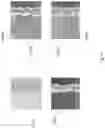 Fig. 12 - Systems and methods of generating datasets for training neural networks