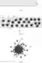 Fig. 02 - FLEXIBLE BASE MATERIAL, FLEXIBLE SUBSTRATE, AND PREPARATION METHOD THEREOF