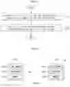 Fig. 08 - Vehicular mobility management for IP-based vehicular networks