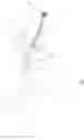 Fig. 02 - Quick-release fishing rod butt section