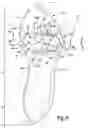 Fig. 09 - Sole structure for an article of footwear
