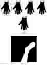 Fig. 08 - Method of measuring the shape and dimensions of human body parts