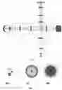Fig. 08 - Method and apparatus for parallel optical coherence tomographic funduscope