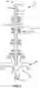 Fig. 02 - Paddle stand