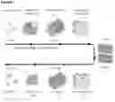 Fig. 02 - Liquid crystalline dosage form for administering a statin