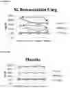 Fig. 07 - Liquid crystalline dosage form for administering a statin