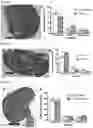 Fig. 04 - Compounds for use in regulating follicle maturation