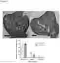 Fig. 07 - Compounds for use in regulating follicle maturation