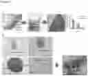 Fig. 08 - Compounds for use in regulating follicle maturation