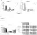 Fig. 09 - Compounds for use in regulating follicle maturation