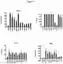Fig. 02 - Topical formulations comprising montelukast and combinations with mussel adhesive proteins