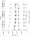 Fig. 11 - Immunoisolation device