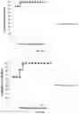 Fig. 20 - Immunoisolation device