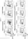 Fig. 21 - Immunoisolation device